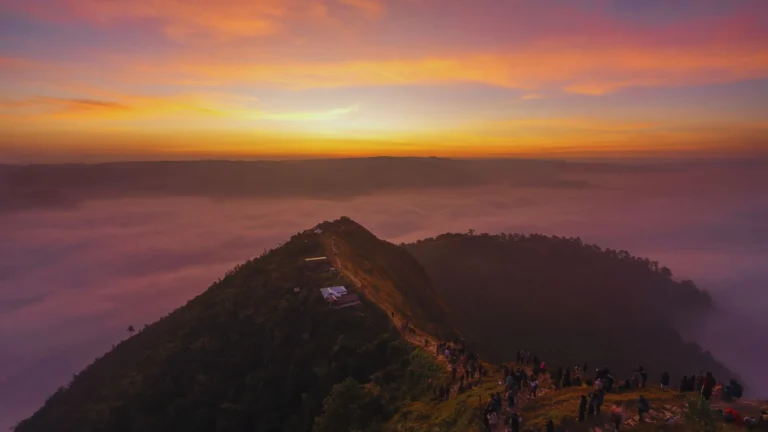 Educational Adventures